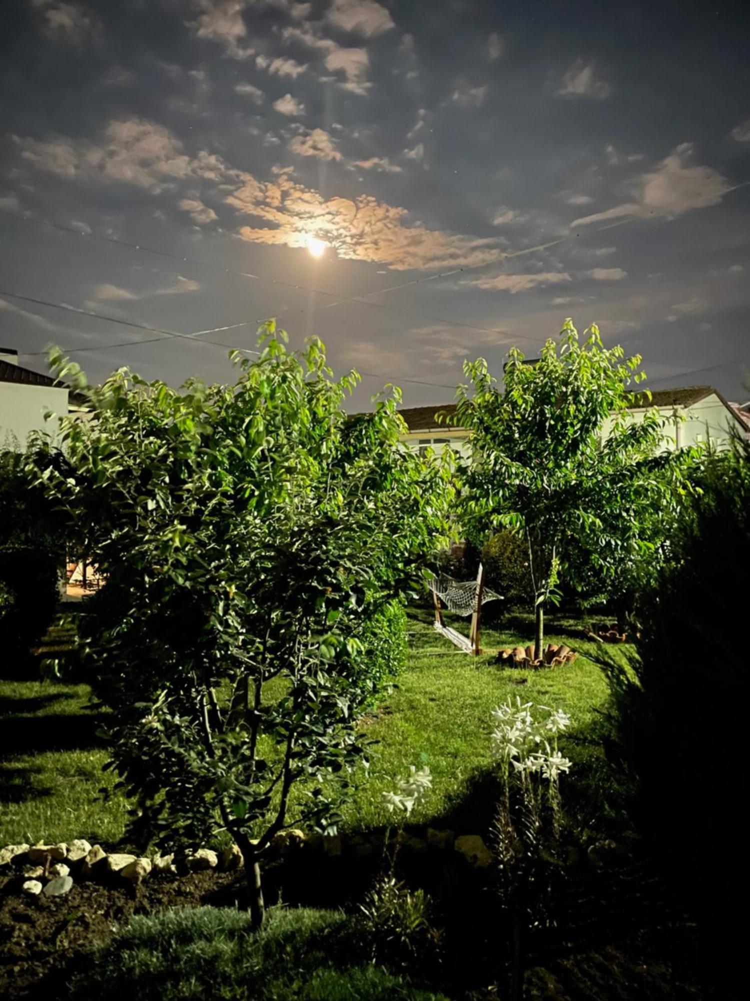 Hotel Complex Minerva Costinesti Zewnętrze zdjęcie