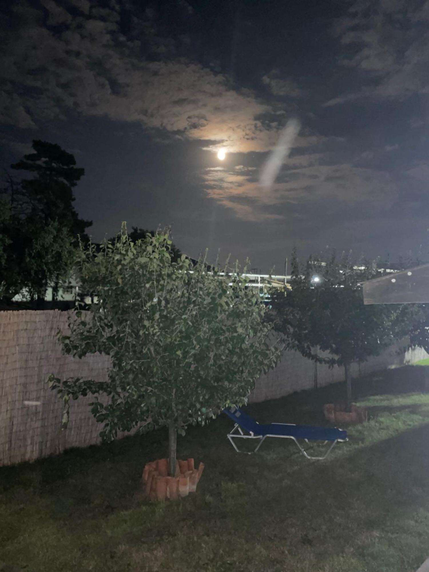 Hotel Complex Minerva Costinesti Zewnętrze zdjęcie